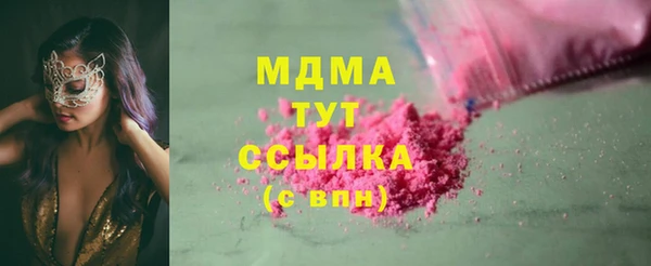 индика Приозерск