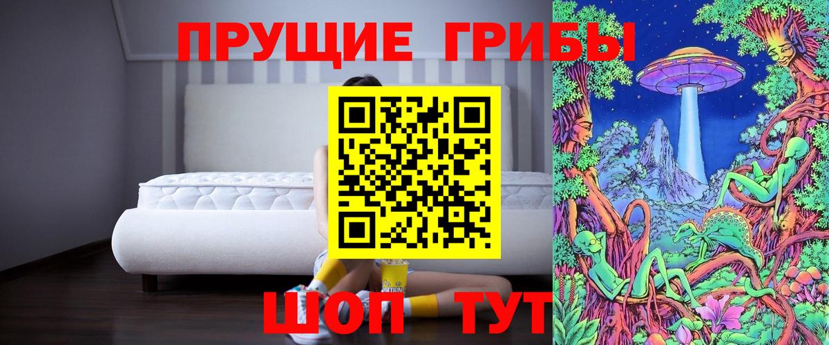 Псилоцибиновые грибы ЛСД  Вход с VPN  Мурино  Псилоцибиновые грибы прущие грибы 